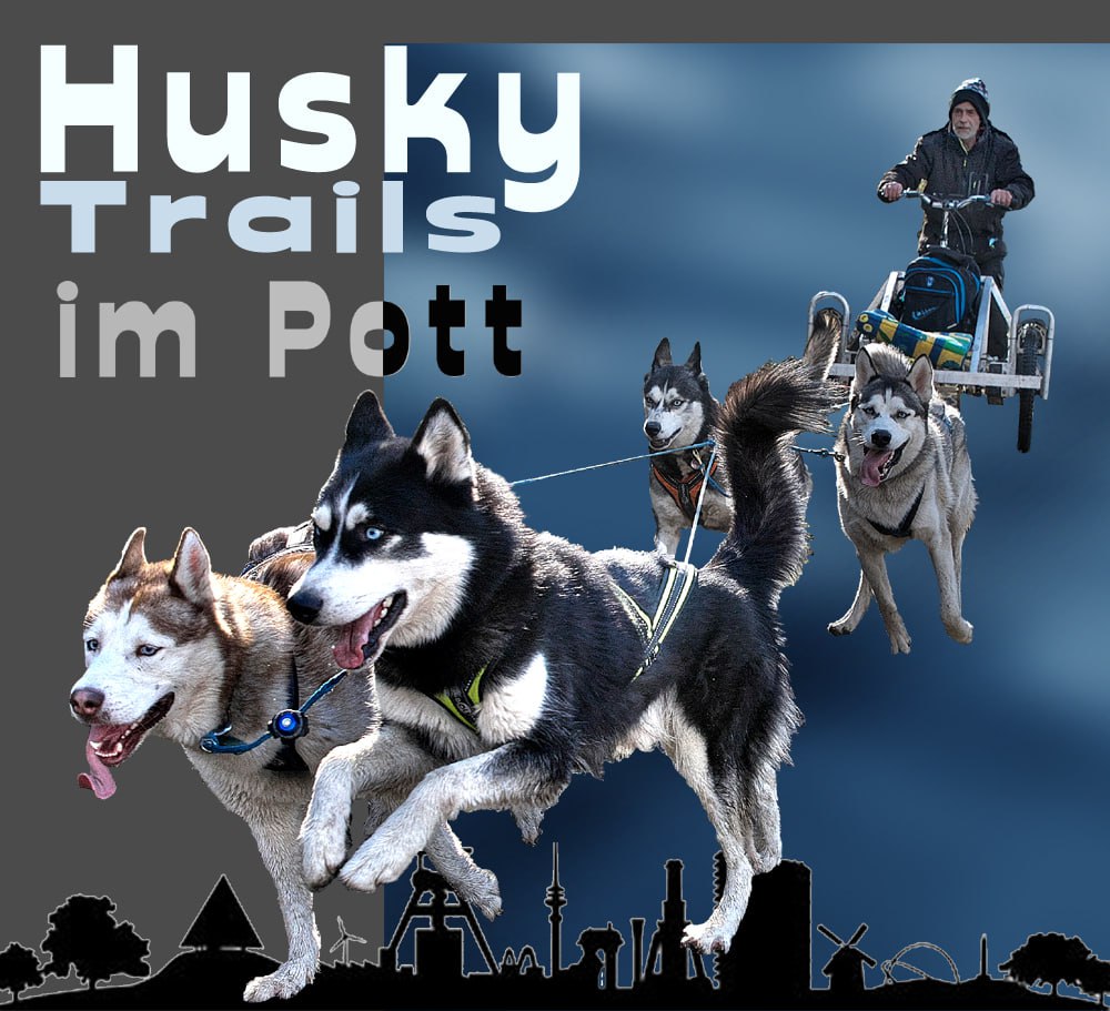 Husky Trails im Pott - Partner MurDOG e.V. 